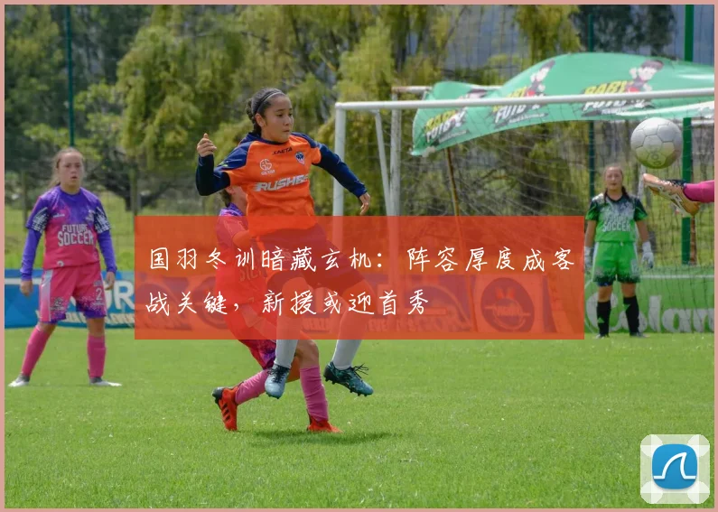 国羽冬训暗藏玄机：阵容厚度成客战关键，新援或迎首秀