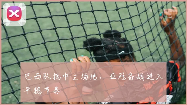 巴西队抵中立场地，亚冠备战进入平稳节奏
