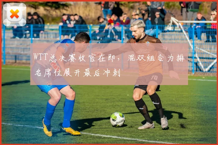 WTT总决赛收官在即，混双组合为排名席位展开最后冲刺